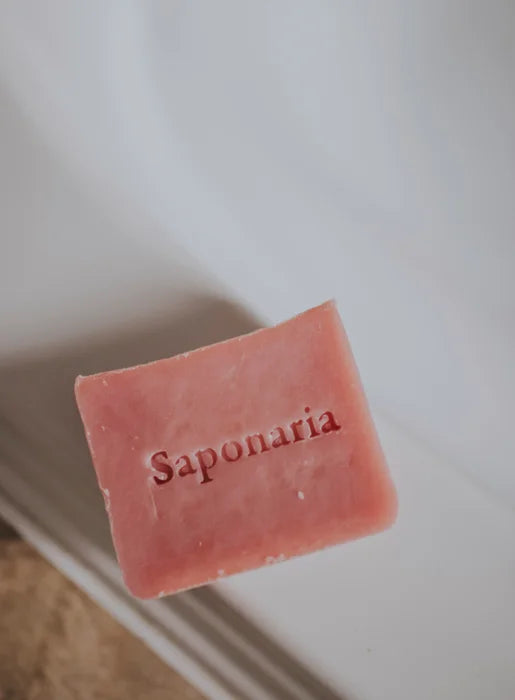 Savon – Carambole de Saponaria