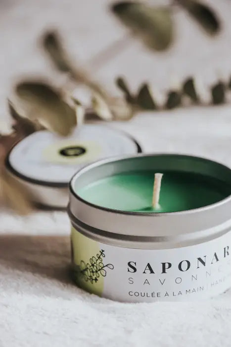 Bougie de soya à l'eucalyptus de Saponaria