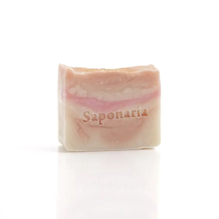 Savon – Pêche scintillante de Saponaria
