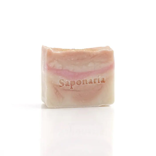 Savon – Pêche scintillante de Saponaria