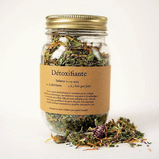 Tisane Détoxifiante de la Fée des Bois
