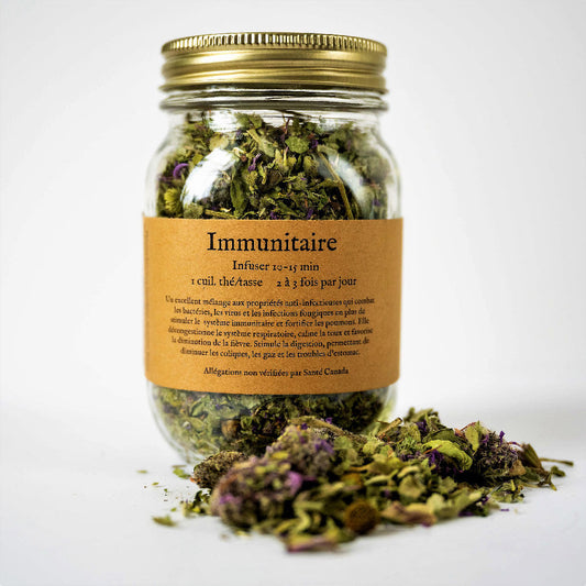 Tisane Immunitaire de la Fée des Bois