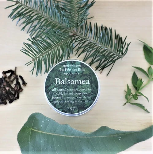 Beurre Balsamea de la Fée des Bois