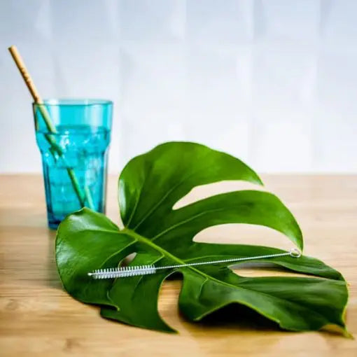 Brosse nettoyante pour paille