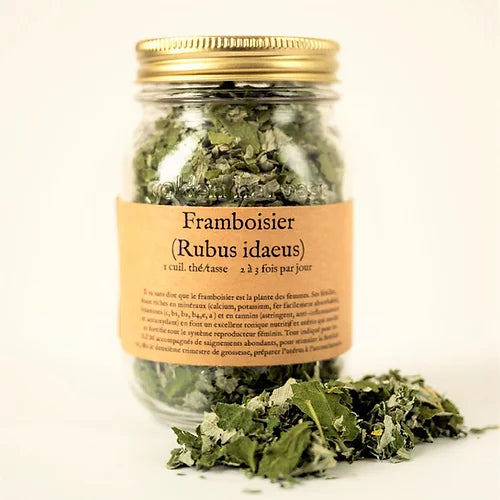 Tisane framboisier de la Fée des Bois