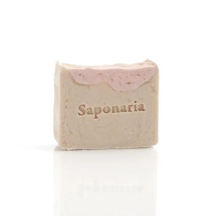 Savon – Monaco (bière) de Saponaria