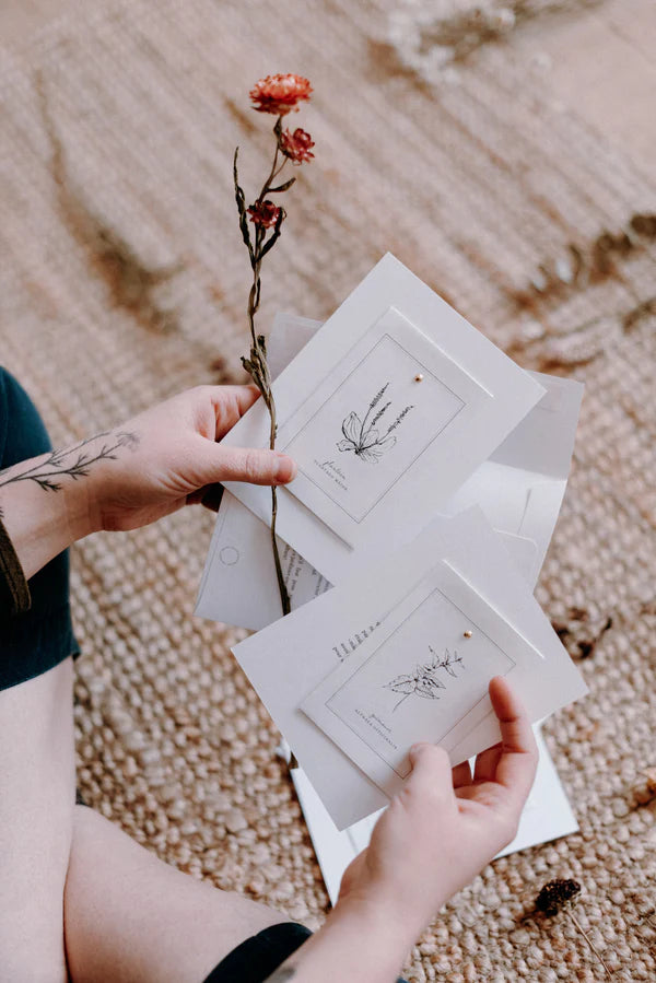 TROUSSE DE SEMENCES MÉDICINALES: SOINS DE LA PEAU