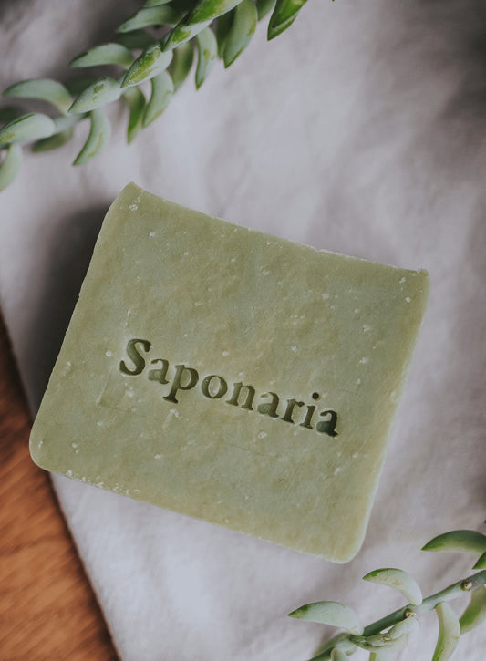 Savon – Concombre & coriandre (bière)