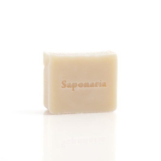 Savon – Inodore de Saponaria