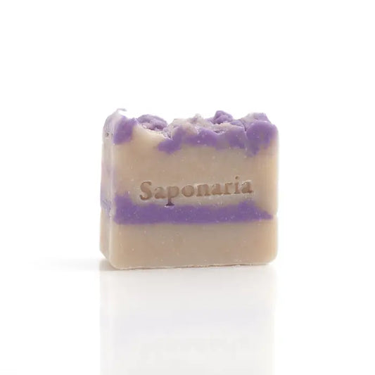 Savon – Lilas australien de Saponaria