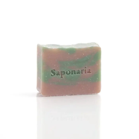 Savon baies en folie de Saponaria