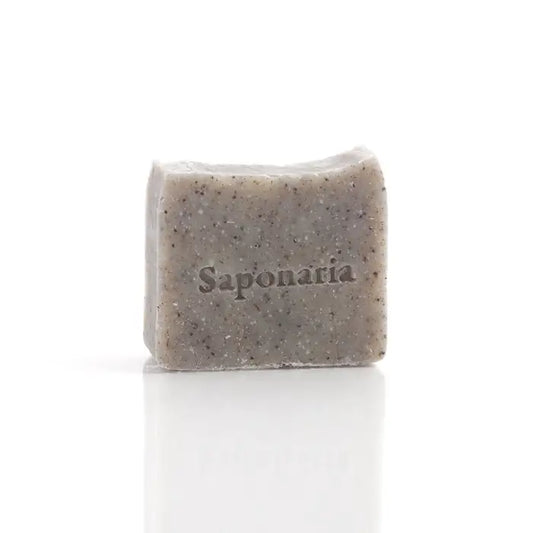 Savon – L'exfoliant de Saponaria